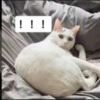 渊