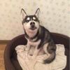 来来来